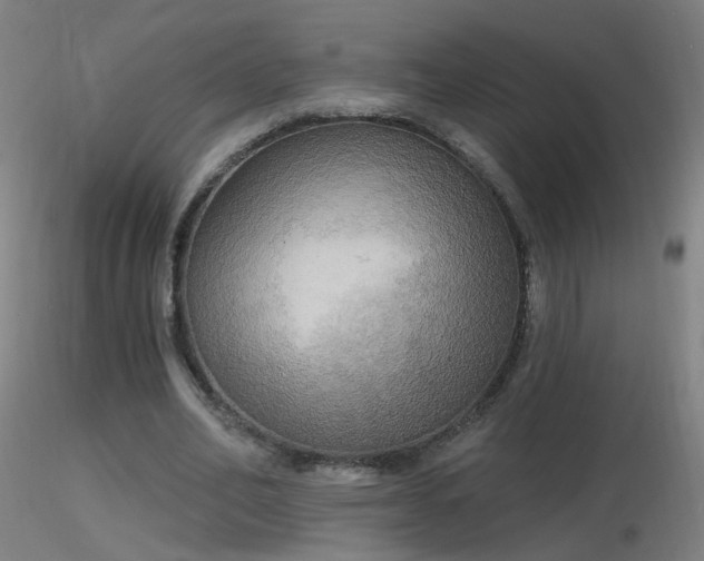 X0000116830582200912181436