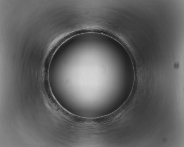 X0000116830583200912181436