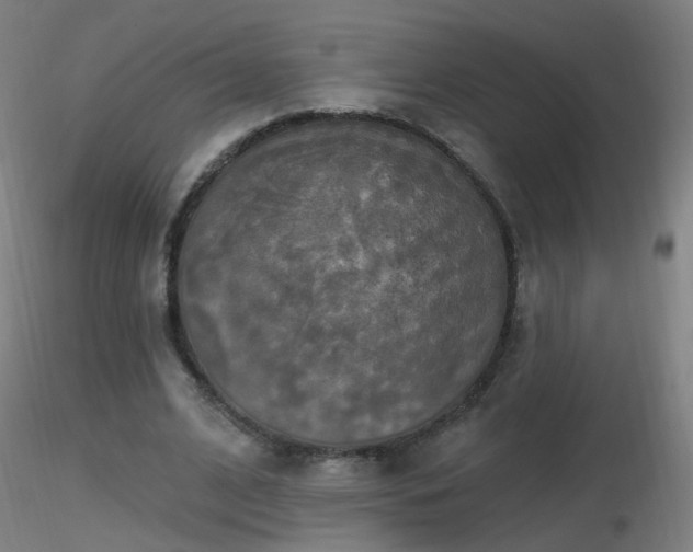 X0000116830584200912181436