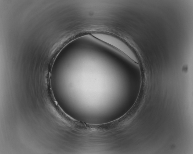 X0000116830585200912181436