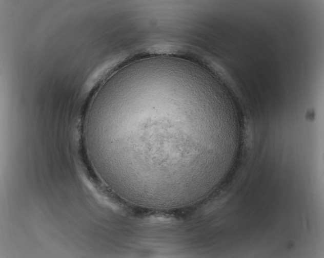 X0000116830586200912181436