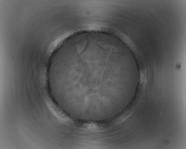 X0000116830588200912181436