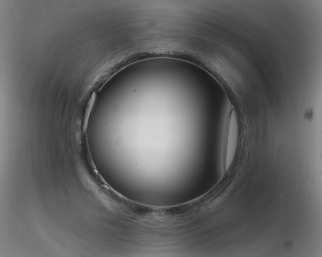 X0000116830589200912181436