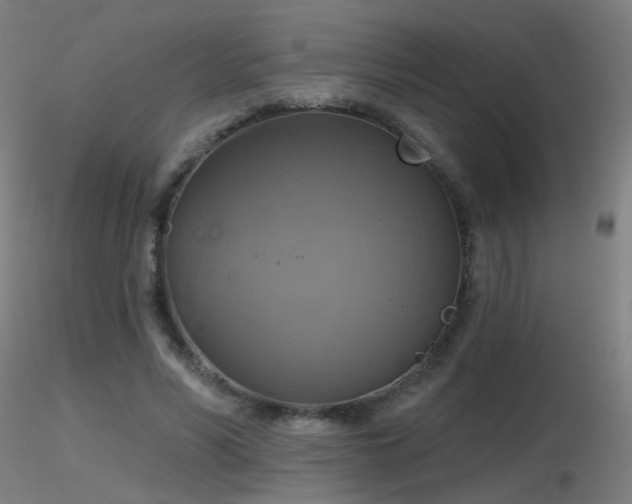 X0000116830590200912181436