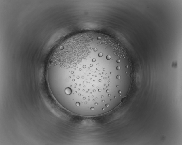 X0000116830591200912181436