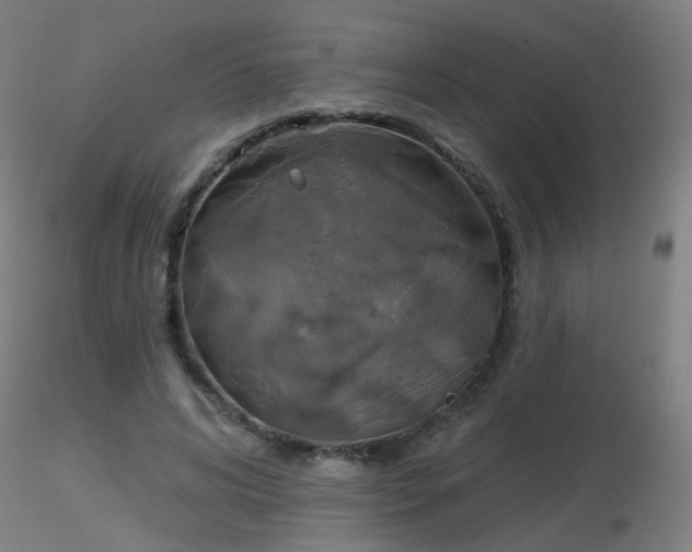 X0000116830592200912181436