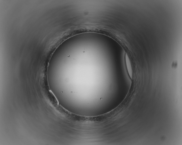 X0000116830593200912181436