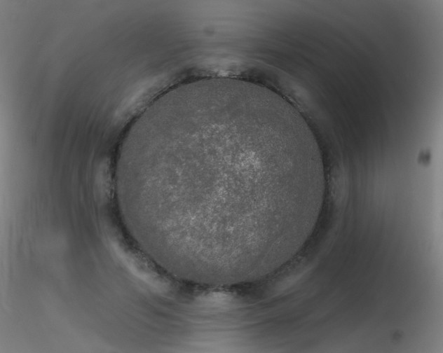 X0000116830594200912181436