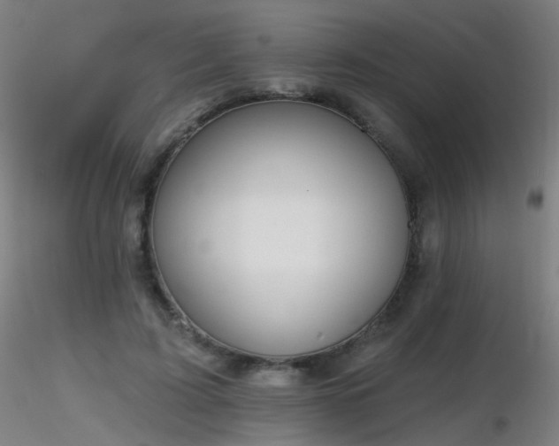 X0000116830595200912181436
