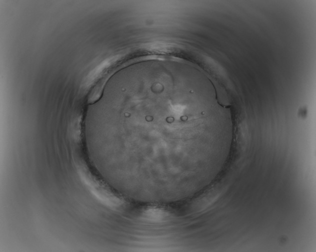 X0000116830596200912181436
