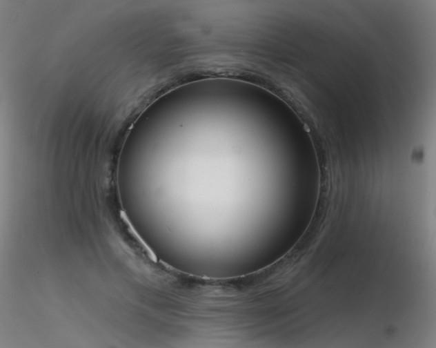 X0000116830597200912181436
