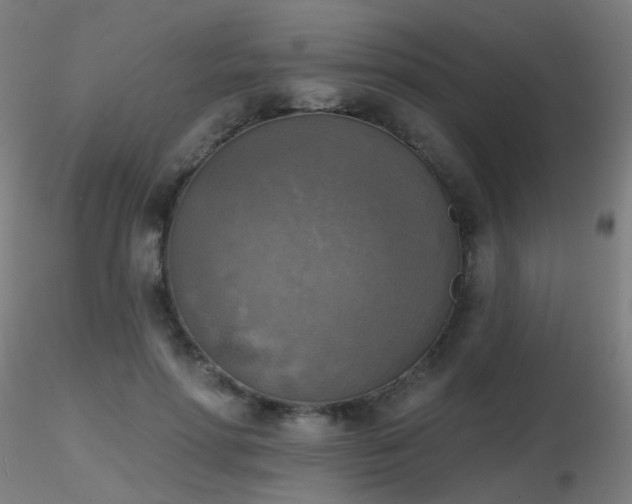 X0000116830598200912181436