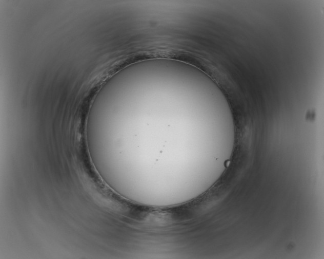X0000116830599200912181436