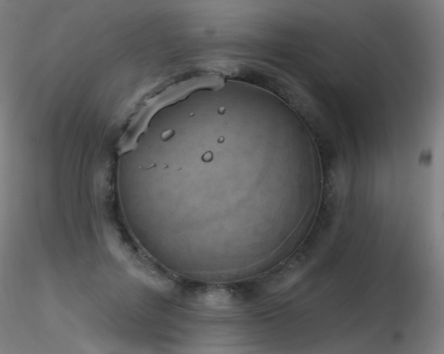 X0000116830600200912181436