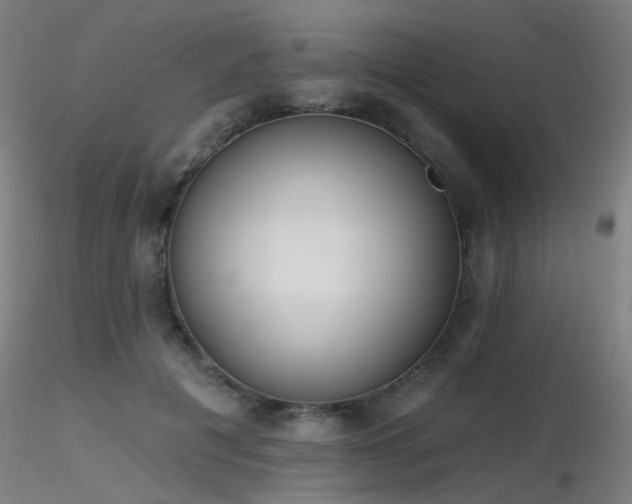 X0000116830601200912181436
