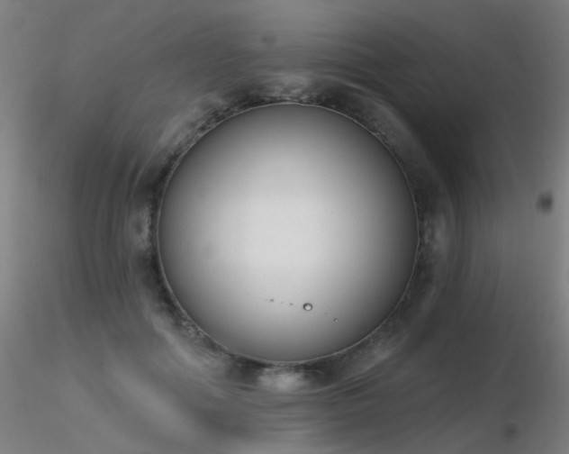 X0000116830602200912181436