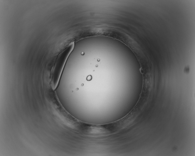 X0000116830605200912181436