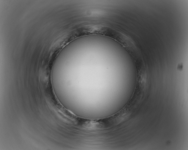 X0000116830607200912181436