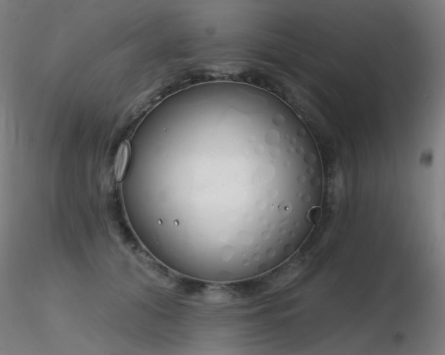 X0000116830608200912181436