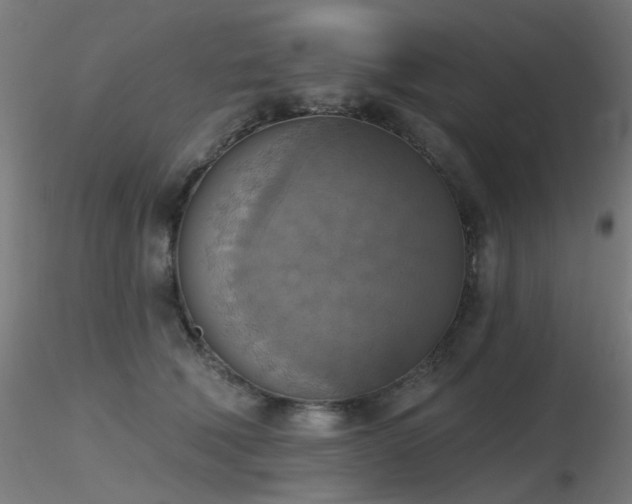 X0000116830610200912181435