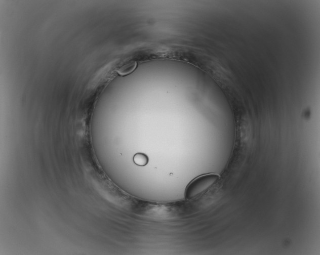 X0000116830611200912181435