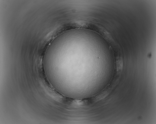 X0000116830613200912181435