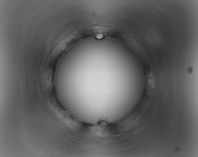 X0000116830615200912181435