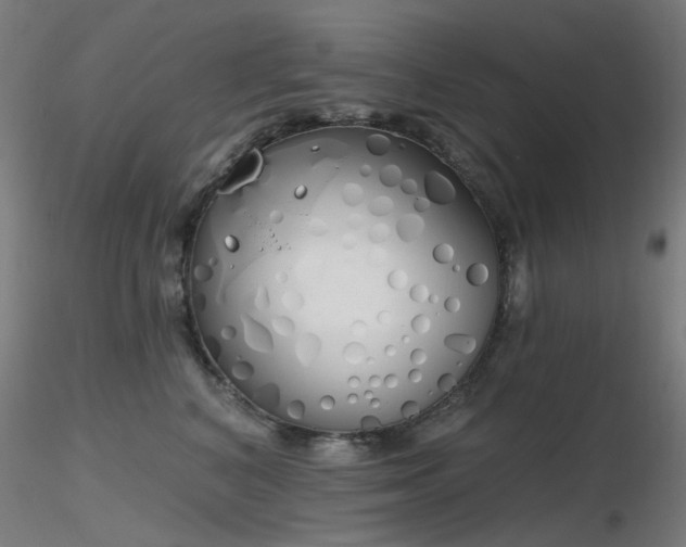 X0000116830616200912181435