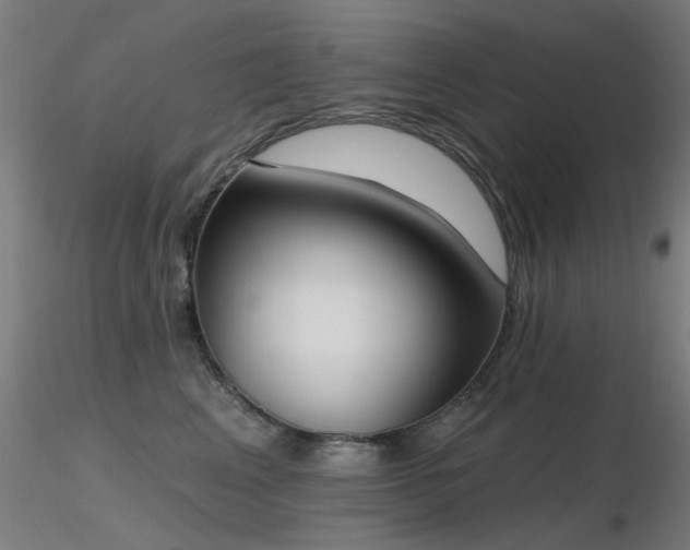 X0000116830617200912181435