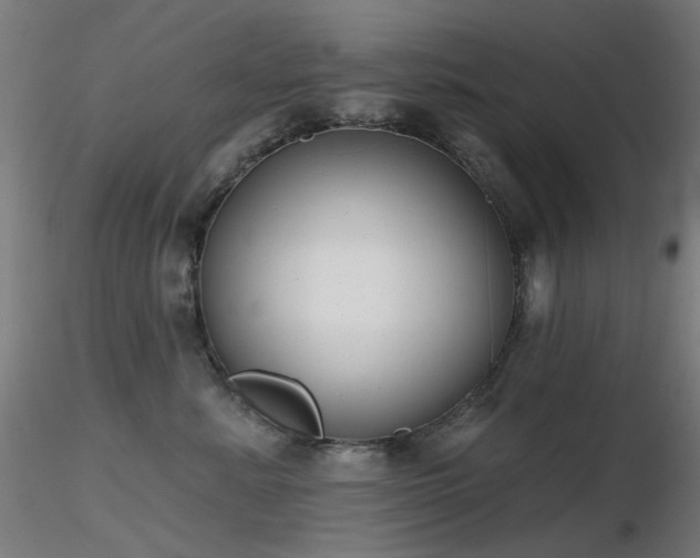 X0000116830619200912181435