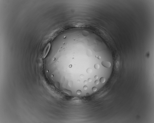 X0000116830620200912181435