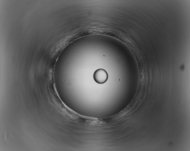 X0000116830621200912181435