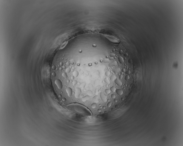 X0000116830623200912181435