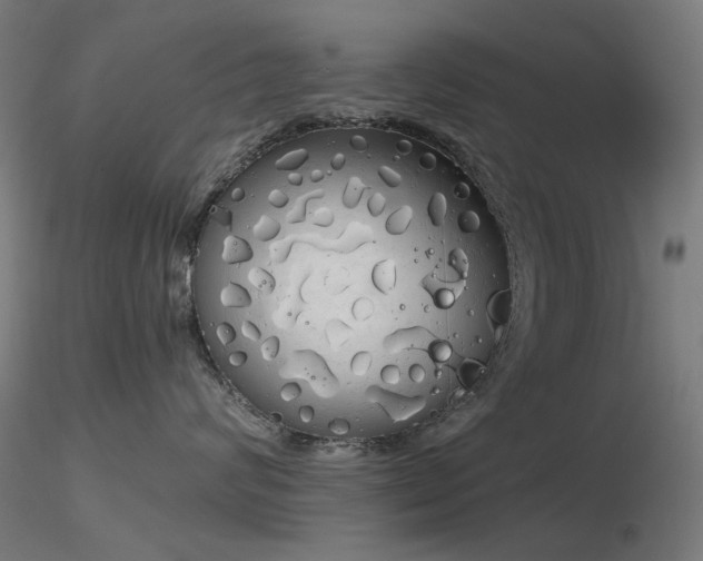 X0000116830624200912181435