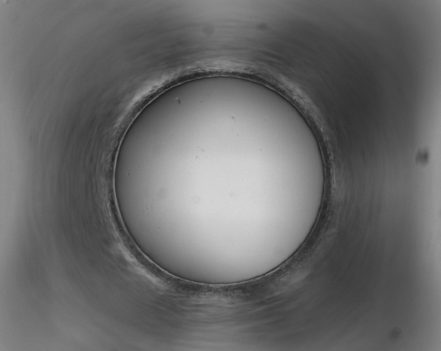 X0000116830625200912181434