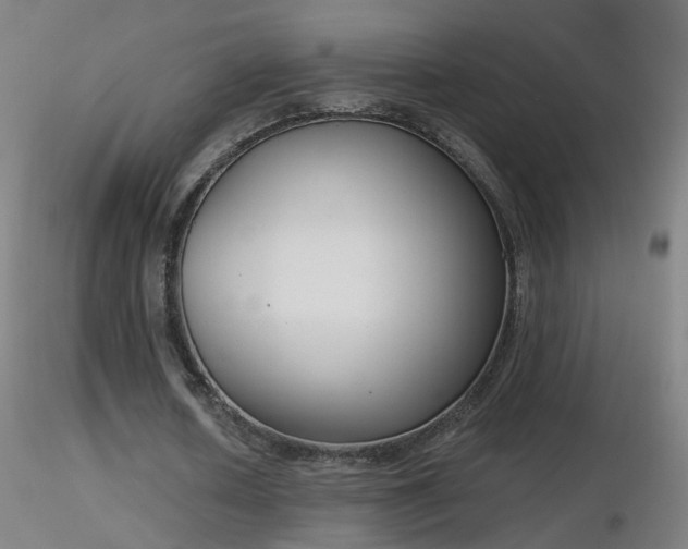 X0000116830626200912181434