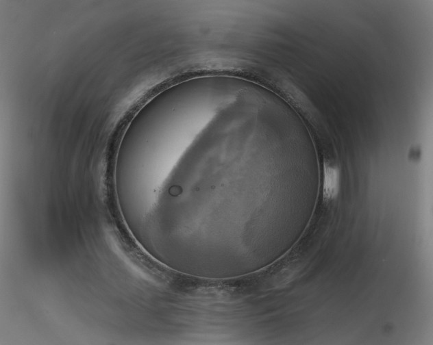 X0000116830627200912181434