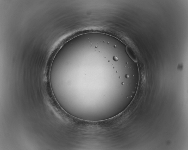 X0000116830628200912181435