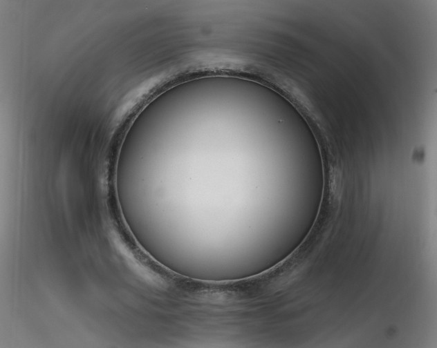 X0000116830629200912181435