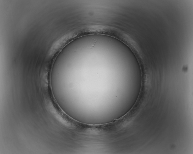 X0000116830633200912181435
