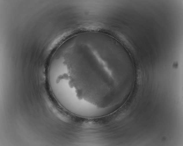 X0000116830634200912181435