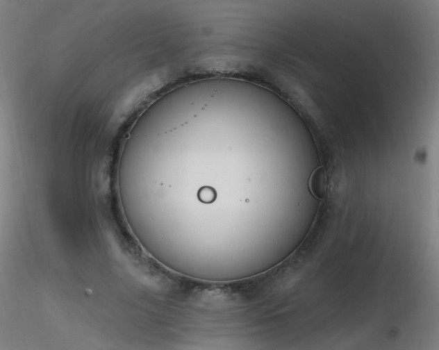 X0000116830635200912181435