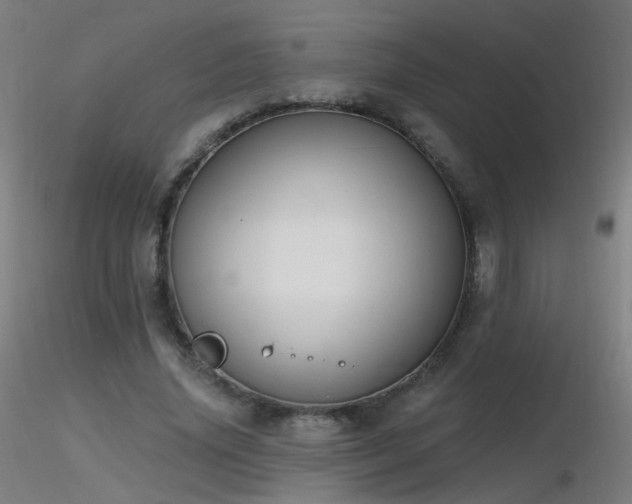 X0000116830636200912181435