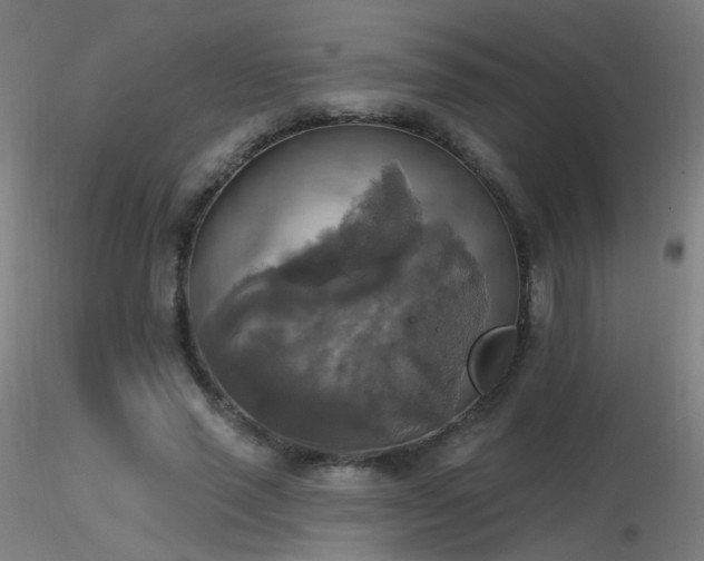 X0000116830637200912181435