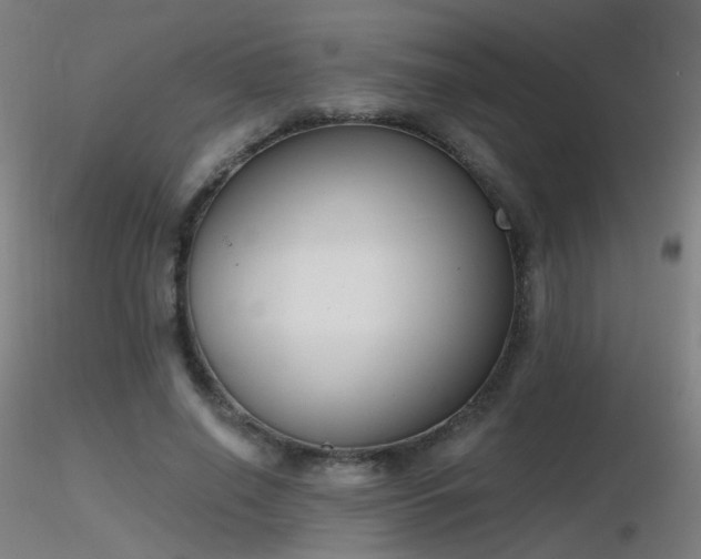 X0000116830638200912181435