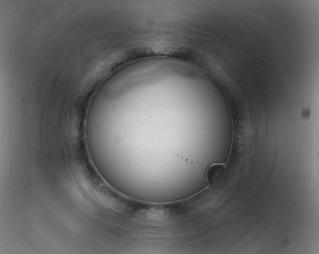 X0000116830639200912181435