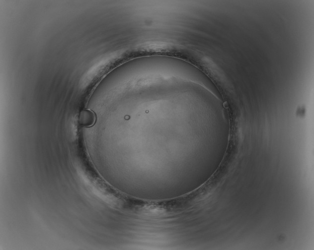 X0000116830640200912181435