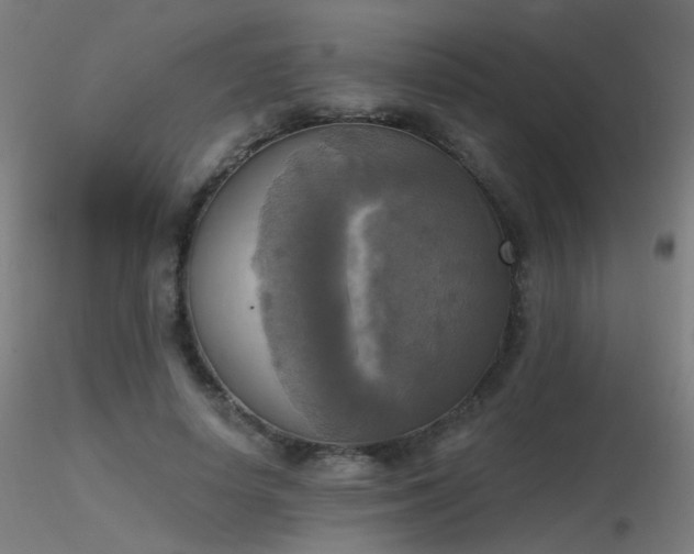 X0000116830642200912181435