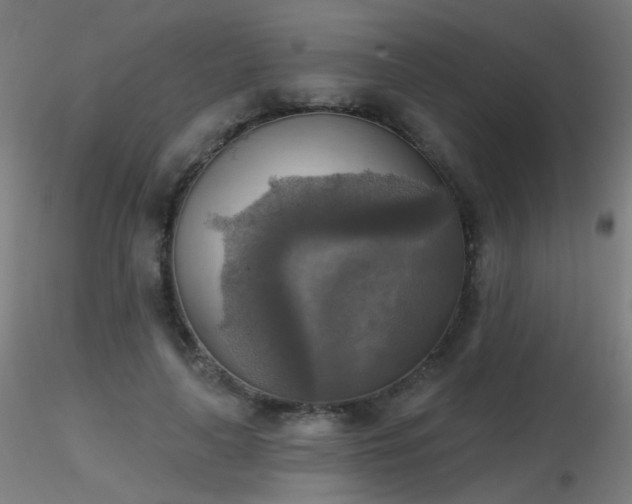 X0000116830643200912181435