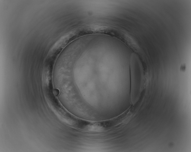 X0000116830644200912181435